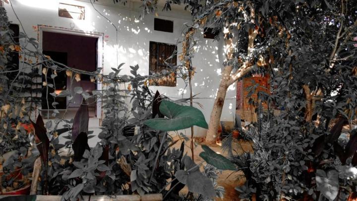 Hotel The Pushkar Flower Zewnętrze zdjęcie